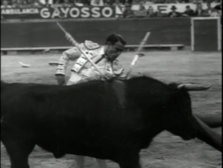 Still from Carlo Velo's 'Torero'